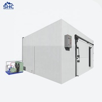 Loop in een koelcel & vriezer met Copeland compressor, milieuvriendelijke koelinstallatie voor de opslag van verse groenten en fruit.