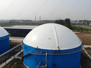 Réservoir de stockage de biogaz à double membrane AMOCO certifié CE, support de biogaz, couvercle de biogaz - Product Image 2