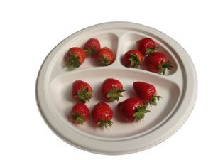 قصب السكر مقاوم للماء والزيت سماد مواد صديقة للبيئة قابلة للتحلل يمكن التخلص منها لوحات - Product Image 4