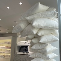 Oreillers en plumes de canard rectangulaires durables avec logo personnalisé, pour hôtel de luxe, avec housses en soie pour le cou et la tête