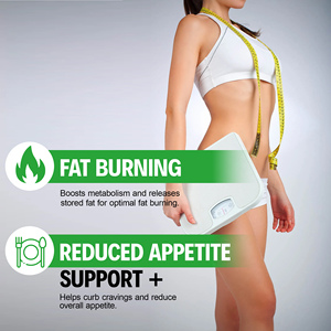 Gomitas para el Metabolismo de Marca Privada, Apoyo al Control de Peso Saludable, Reduce los Antojos, Apoya el Metabolismo, Favorece el Control de Peso Saludable - Product Image 4