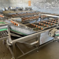 Appel- en peerreinigingsmachine met bubbels, groente- en fruitdroogmachine met bubbels