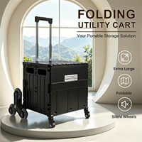 Chariot pliant multifonctionnel en plastique PP moulé par injection, 45/65L, écologique, pour cuisine, camping, balcon, transport alimentaire et voyages
