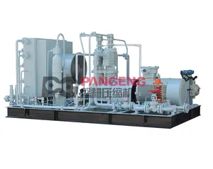 Petrochemical Compressors Industrial Reciprocating Compressors Circulating Hydrogen Compressors