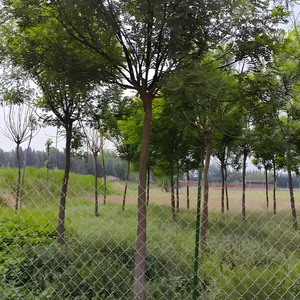 Malla de Alambre Resistente a <span class=keywords><strong>los</strong></span> Rayos UV, Ideal para Cercas Escolares y Seguridad en Parques - Product Image 1