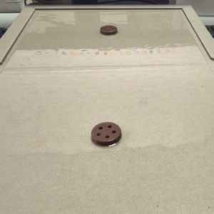 Piège à colle pour souris PCO - Product Image 3