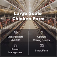 Cages à poulets galvanisées multicouches de haute qualité avec moteur conçu pour l'élevage de poulets, alimentation automatique, longue durée de vie