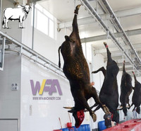 Abattoir à petite échelle pour le bétail, équipement d'abattage, ligne d'abattage pour buffles, machine d'abattage