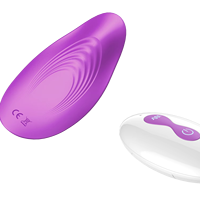 USB-Betriebener Mini-Dildo Vibrator Tragbarer Ferngesteuerter Klitoris-Stimulator 10-Gang-Vibration 100% Wasserdichtes Sexspielzeug