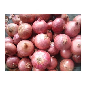 Fournisseur d'oignons frais de haute qualité Prix de l'oignon rouge frais d'exportation Shandong Supply Oignon rouge - Product Image 3