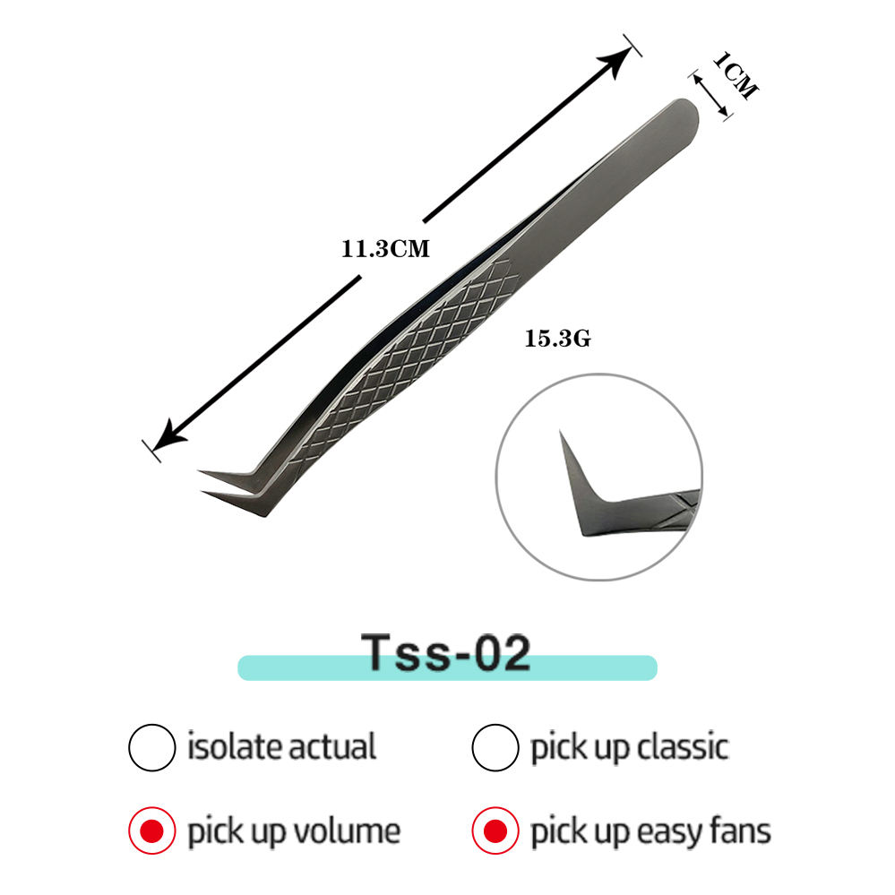 ทีเอสเอส-02