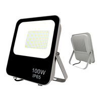 KCD Aluminium Mince Personnalisable 30w 50w 120w 250w Faisceau Étroit RGB Détecteur de Mouvement Sécurité Extérieure Projecteur LED Extérieur
