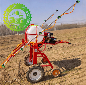 Pulvérisateur agricole à moteur essence, capacité 20 kg, utilisation agricole, facile à utiliser, machine de pulvérisation - Product Image 6