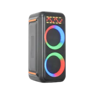 Temeisheng TMS-850 Singing Machine Speaker IPX4 Water Resistant with Sound Effects/DJ Lights/FM Radio for DJs, Parties