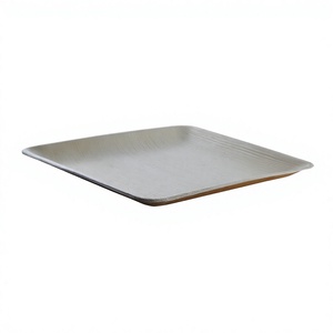 Assiette plate carrée en bambou, design minimaliste, vaisselle et assiettes biodégradables, 10 x 10 pouces - Product Image 4