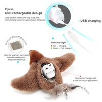 Jouets interactifs personnalisés en usine pour chat Jouets d'exercice pour chaton à cataire