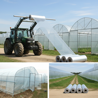 Lámina de Plástico LDPE para Invernadero, 200 Micras, Resistente a los Rayos UV, Moldeada por Extrusión y Soplado, para Cultivo de Tomates y Vegetales, para Invierno