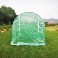 Vente en gros de hangar de plantation en extérieur avec cadre en acier galvanisé 2*3 mini serre tunnel de jardin à vendre