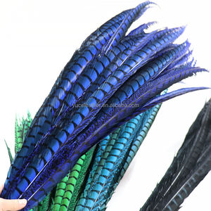 Piume Lunghe di Fagiano Lady Amherst per Costumi di Carnevale, Copricapo, <span class=keywords><strong>Cappello</strong></span> da Ballo, Motivo Tinto in Capo - Product Image 6