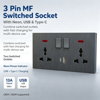 Prise murale multifonction OEM à double interrupteur 3 broches avec indicateur néon et charge rapide USB Type C – Vente en gros