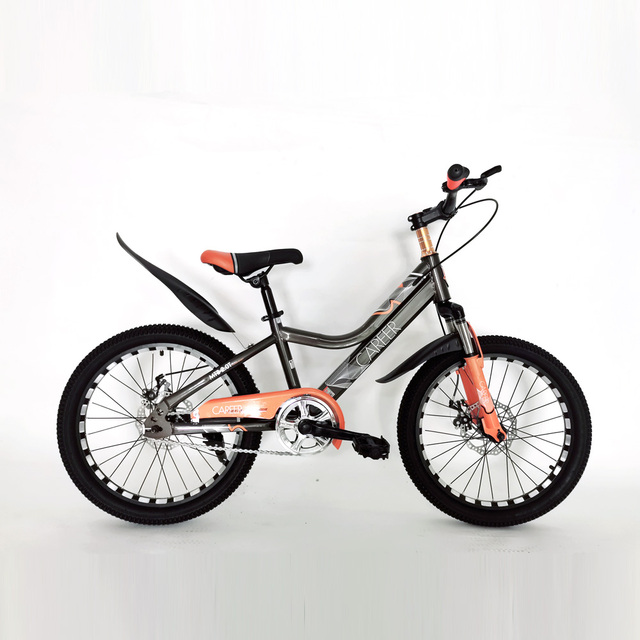 Children's Adult Mountain Bikes 16, 18, Inch Single Speed Shock Absorption Paint with Disc Brake Inside Bicycle