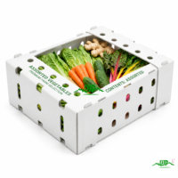 PP golfkartonnen plastic productenbox met open bovenkant en maatwerk voor supermarkt fruit- en groentepresentatie