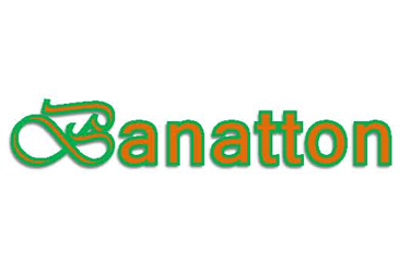 Guangdong Banatton Technologies Co., Ltd. logo