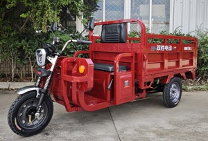 Tricycle électrique Sunsen 1,6 m, <span class=keywords><strong>moto</strong></span> <span class=keywords><strong>cargo</strong></span> à trois roues, tricycle électrique pour le transport de marchandises - Product Image 4