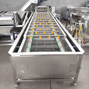 Máquina Lavadora de Burbujas Industrial Totalmente Automática para Pulpa de Coco, Maíz, Frutos Secos, Vegetales y Frutas con Soplador de Aire y Elevador - Product Image 5