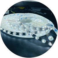2in1 CCT 48leds/m Diffuse Led Light Strip 2835 Led 24v flexible led strip diffuseur pour Rétro-éclairage Lit Light Box