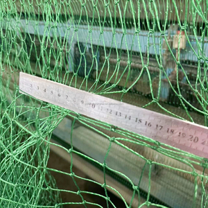 <span class=keywords><strong>Filet</strong></span> <span class=keywords><strong>de</strong></span> pêche tressé à double nœud en HDPE durable anti-âge, prix d'usine / <span class=keywords><strong>Filet</strong></span> <span class=keywords><strong>de</strong></span> clôture pour ferme piscicole <span class=keywords><strong>de</strong></span> <span class=keywords><strong>plage</strong></span> / <span class=keywords><strong>Filet</strong></span> à bord dentelé - Product Image 2