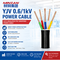 Kabel Daya Tembaga Berisolasi XLPE Berselaput PVC Kelas 2, Konduktor Tembaga Terpilin, Tegangan Rendah 1-5 Inti, ZR YJV 0.6/1kV
