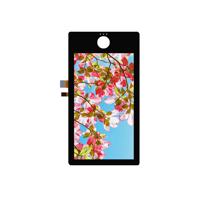 5 Inch LCD Display 480*854 High Resolution 5 Inch IPS SPI+RGB Interface LCD Touch Screen with ST7701S Driver IC for Smart Device