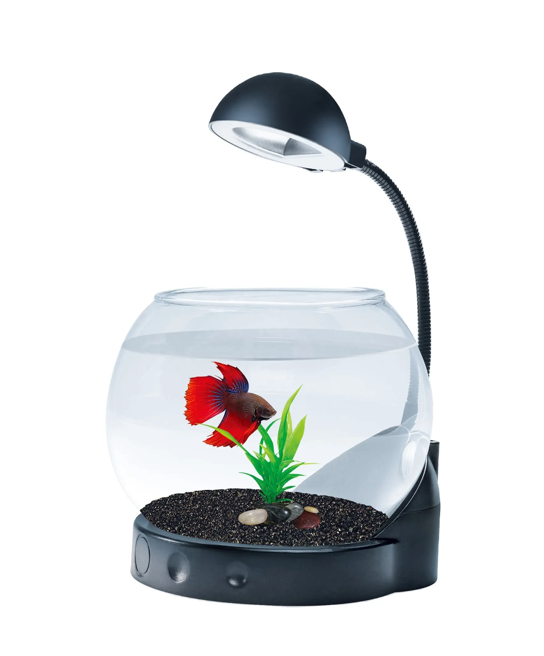 Globe Shaped Mini Aquarium With Pedestal Base