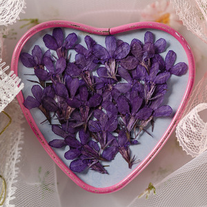 DIY — Scrapbooking <span class=keywords><strong>Lobelia</strong></span> Erinus, résine époxy, bricolage, plante naturelle, écologique, véritables fleurs pressées - Product Image 2