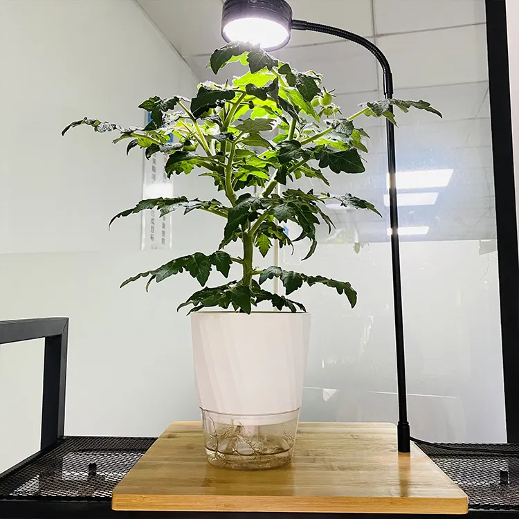 5W 7W360度屋内デスクトップ柔軟な風景多肉植物成長ライト竹ボード水族館USBLED植物ランプライト