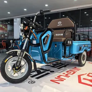 دراجة كهربائية بثلاث عجلات للبالغين الأفضل مبيعًا في الصين بقدرة 500 وات دراجات كهربائية بثلاث عجلات للكبار لخلق الترفيه
