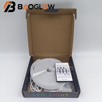Tira de Luces LED RGBIC de Neón con Control Remoto, Resistentes al Agua IP67, USB 5V, Cambio de Color, para Decoración de Festivales al Aire Libre
