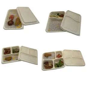 Wholesale Lot bulk 2 compartments Meal Prep Container Food Container with  Lid