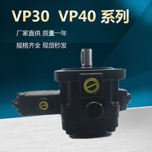 ปั๊มไฮดรอลิกแบบใบพัดปรับได้ Jylsi รุ่น VP30 VP40 แรงดัน 250 บาร์ สำหรับปั๊มสารเคมี ขับเคลื่อนด้วยไฟฟ้าแนวนอน - Product Image 4