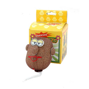 Kopgraspop Zelfgroeiend Gras Creatieve Desktop Groene Planten Gras Groeiende Kit Kantoor Desktop Plant Ornamenten Goedkoop Cadeau - Product Image 2