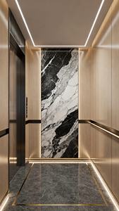 Ascensor Eléctrico Residencial para 4-6 Personas, 400kg 600kg, Ascensor de Tracción para Pasajeros, 3 Pisos, para Viviendas y Villas - Product Image 5