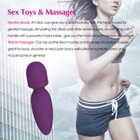 YLove Bestseller Mini Leistungsstarker Klitoris-Vibrator Mini-Zauberstab USB-Aufladbar Sexspielzeug für Frauen Erwachsenen-Vibrator