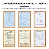 Boîte de distribution antidéflagrante IP66 BXK51 ZTZN, interrupteur d'alimentation pour éclairage, commande électrique, câblage d'instruments de contrôle