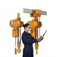 Palans électriques à chaîne industriels de 1 à 10 tonnes HHBB pour la construction d'ateliers