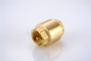 DN15 Rèn Brass Van Kiểm Tra Dọc NPT Chủ Đề Van Không Trở Lại Để Sử Dụng Nước Giá Danh Sách - Product Image 3