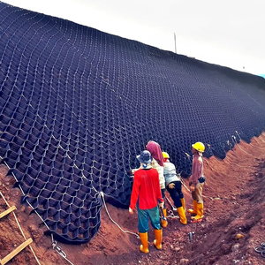 شركة تصنيع مواد البناء بناء قاعدة الطرق HDPE قرص العسل Geocell تثبيت التربة السيطرة على تآكل - Product Image 6