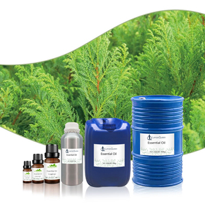 Puro Natural Floral incienso Vetiver hierba de limón canela aceites esenciales aceite aromático hidratante - Product Image 4