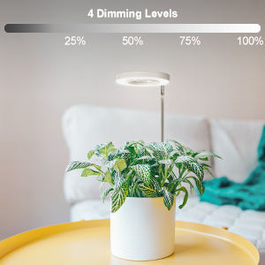 Slimme desktop LED-kweeklamp voor binnen hydrocultuur tuin & AeroGarden kruidentuin, kweekt basilicum & munt - Product Image 4