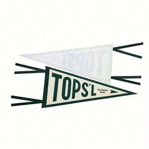 Drapeaux triangulaires en feutre personnalisés avec impression de logo, bannières durables, impression par sublimation, drapeaux en feutre brodés vierges personnalisés - Product Image 3